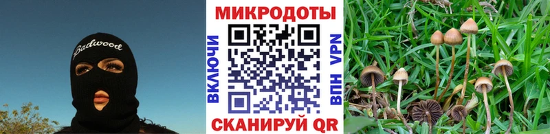 Галлюциногенные грибы прущие грибы  где можно купить наркотик  Белый 